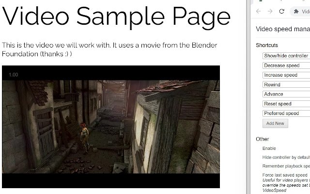Video Speed Manager for Chrome  from Chrome web store to be run with OffiDocs Chromium online