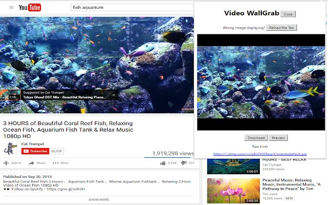 Video Wallgrab  from Chrome web store to be run with OffiDocs Chromium online