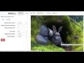 Vidzgif Video to Animated GIF Sampler  from Chrome web store to be run with OffiDocs Chromium online