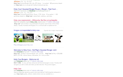 Visited  from Chrome web store to be run with OffiDocs Chromium online