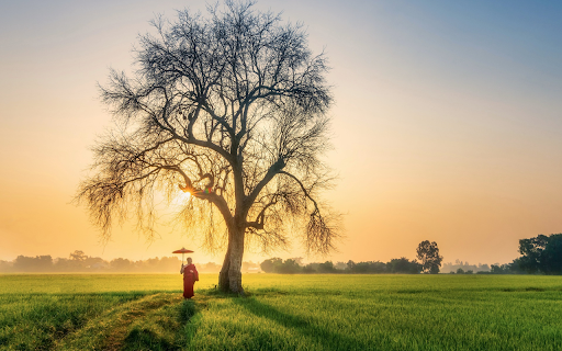 Visit the fields  from Chrome web store to be run with OffiDocs Chromium online