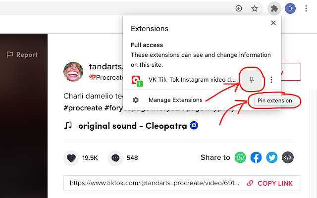 เครื่องมือดาวน์โหลดวิดีโอ VK Tik Tok Instagram จาก Chrome เว็บสโตร์ที่จะรันด้วย OffiDocs Chromium ออนไลน์