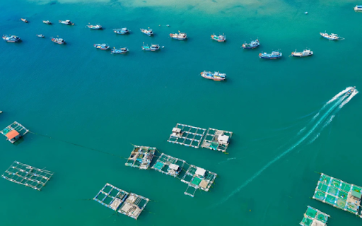 Vĩnh Hy Bay – A Hidden Paradise on Vietnam’s Coast  from Chrome web store to be run with OffiDocs Chromium online Vĩnh Hy Bay – A Hidden Paradise on Vietnam’s Coast  from Chrome web store to be run with OffiDocs Chromium online
