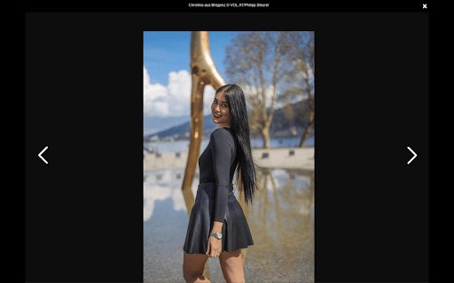 VOL.at Image Downloader  from Chrome web store to be run with OffiDocs Chromium online