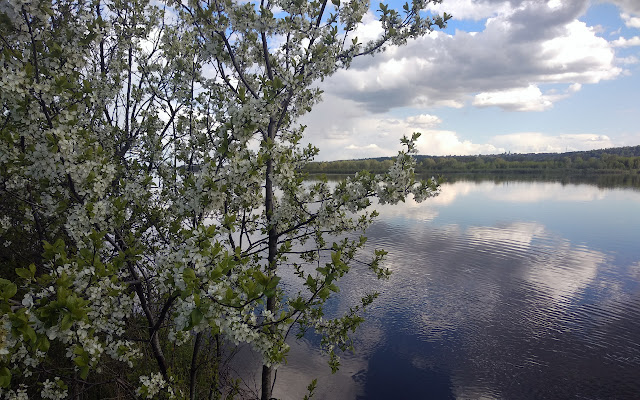 Volga river from Chrome web store to be run with OffiDocs Chromium online Volga river from Chrome web store to be run with OffiDocs Chromium online