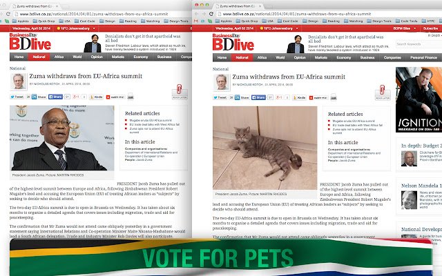 Vote em animais de estimação da Chrome Web Store para serem executados com o OffiDocs Chromium online
