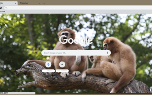 Vuon  from Chrome web store to be run with OffiDocs Chromium online