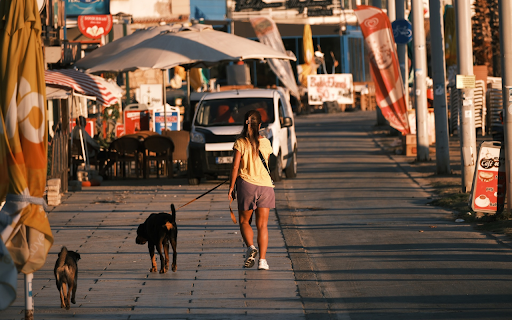 Walking around with your dog  from Chrome web store to be run with OffiDocs Chromium online