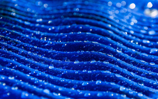 Water and green roof  from Chrome web store to be run with OffiDocs Chromium online