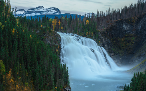 waterfall in the middle of the forest  from Chrome web store to be run with OffiDocs Chromium online