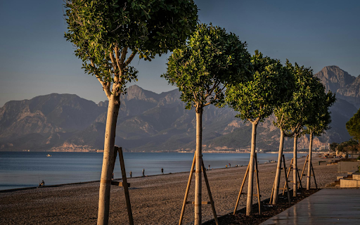 Wave Breakers  from Chrome web store to be run with OffiDocs Chromium online