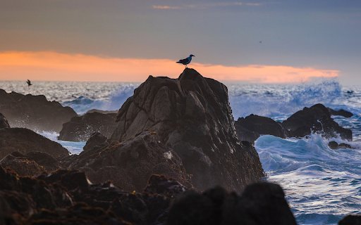 Waves and Rocks  from Chrome web store to be run with OffiDocs Chromium online