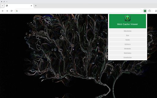 Web Cache Viewer  from Chrome web store to be run with OffiDocs Chromium online