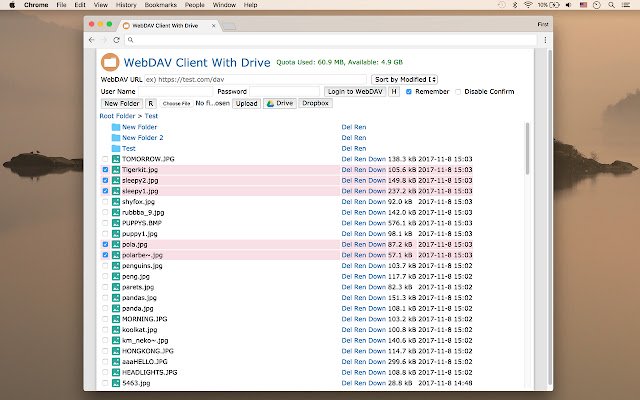WebDAV Client With Drive من متجر Chrome الإلكتروني ليتم تشغيله مع OffiDocs Chromium عبر الإنترنت