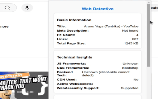 Web Detective  from Chrome web store to be run with OffiDocs Chromium online