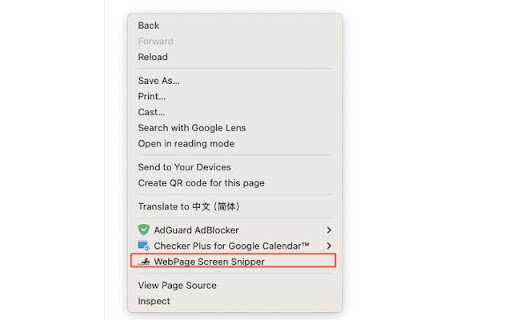 WebPage Screen Snipper  from Chrome web store to be run with OffiDocs Chromium online