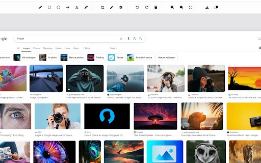 Web Screenshot Screenshot Tool  from Chrome web store to be run with OffiDocs Chromium online