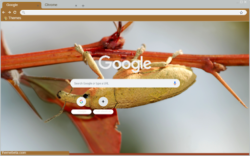 Weevil  from Chrome web store to be run with OffiDocs Chromium online