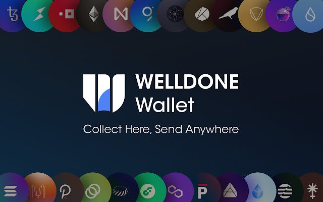 WELLDONE Wallet for multichain  from Chrome web store to be run with OffiDocs Chromium online