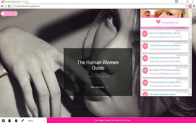 WG Blog Extension  from Chrome web store to be run with OffiDocs Chromium online