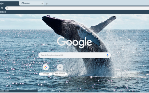 Whale  from Chrome web store to be run with OffiDocs Chromium online