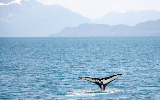 Whale tail  from Chrome web store to be run with OffiDocs Chromium online