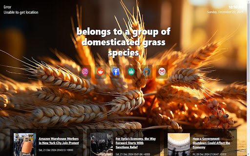 wheat  from Chrome web store to be run with OffiDocs Chromium online