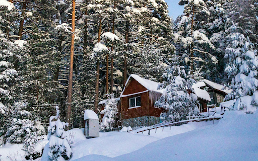 Whispers Forest  from Chrome web store to be run with OffiDocs Chromium online