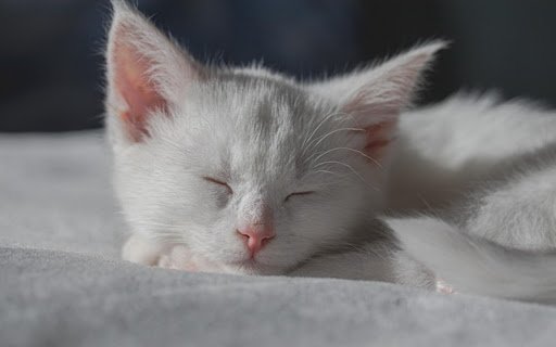 WHITE CAT THEME  from Chrome web store to be run with OffiDocs Chromium online