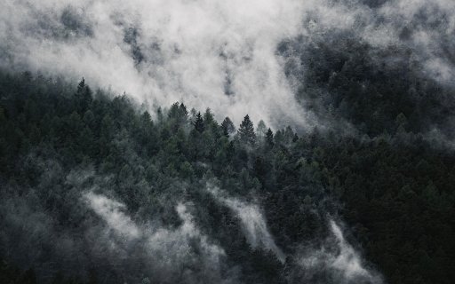 White cloud forest  from Chrome web store to be run with OffiDocs Chromium online