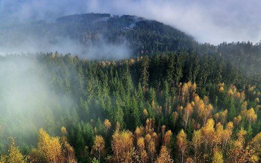 White clouds fly over the forest  from Chrome web store to be run with OffiDocs Chromium online