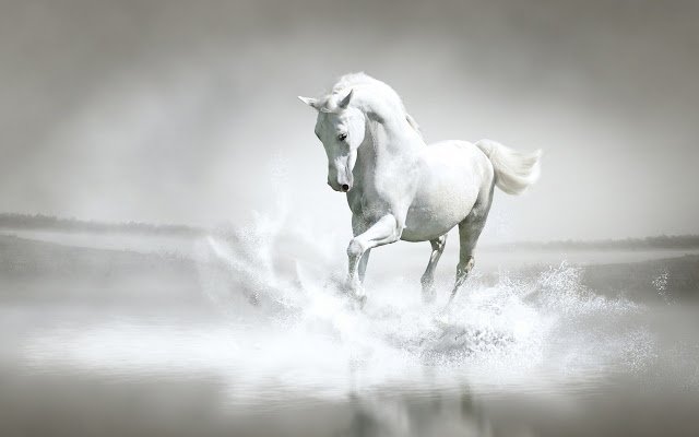 White Horse mula sa Chrome web store na tatakbo sa OffiDocs Chromium online