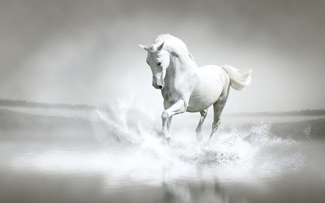 White Horse van de Chrome-webwinkel om te worden uitgevoerd met OffiDocs Chromium online