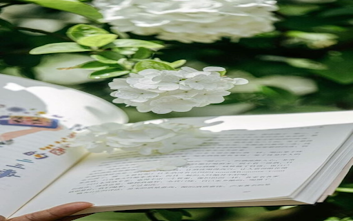 White hydrangea wallpaper  from Chrome web store to be run with OffiDocs Chromium online