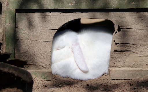 White Rabbit  from Chrome web store to be run with OffiDocs Chromium online