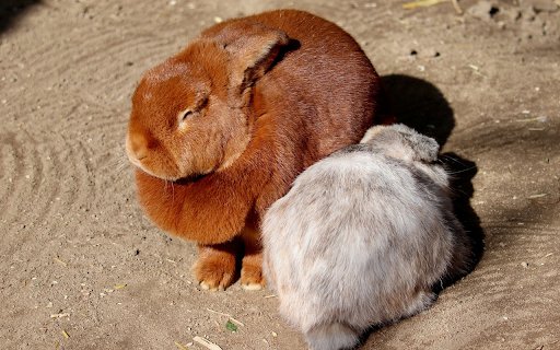 White Rabbit and Yellow Rabbit  from Chrome web store to be run with OffiDocs Chromium online