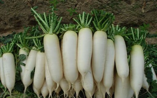 white radish wallpaper  from Chrome web store to be run with OffiDocs Chromium online