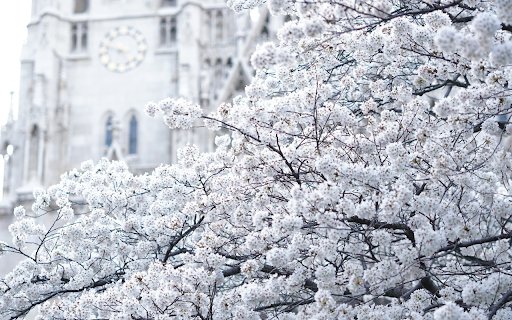 White snowflakes from Chrome web store to be run with OffiDocs Chromium online White snowflakes from Chrome web store to be run with OffiDocs Chromium online