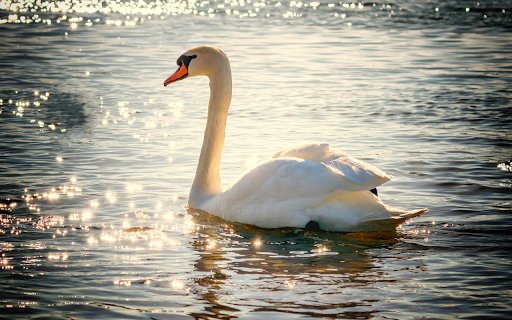 White Swan  from Chrome web store to be run with OffiDocs Chromium online