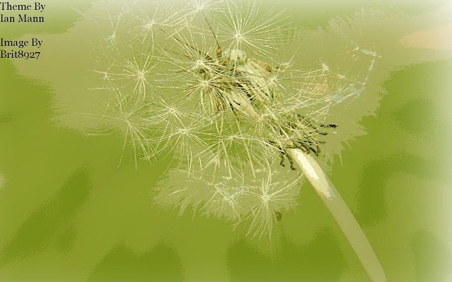 White Weed  from Chrome web store to be run with OffiDocs Chromium online