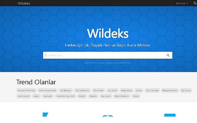 Wildeks Türkiyenin En Yeni Arama Motoru  from Chrome web store to be run with OffiDocs Chromium online