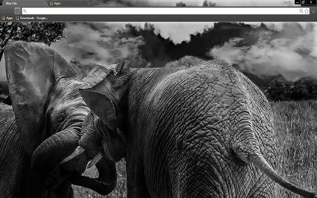 Wild Elephants  from Chrome web store to be run with OffiDocs Chromium online