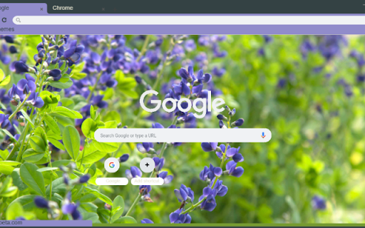 Wild Indigo  from Chrome web store to be run with OffiDocs Chromium online