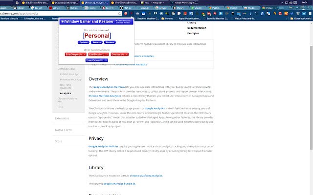 Window Namer and Restorer BETA  from Chrome web store to be run with OffiDocs Chromium online