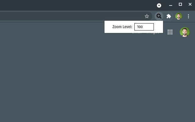 Window Zoom  from Chrome web store to be run with OffiDocs Chromium online