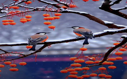 Winter bird wallpaper  from Chrome web store to be run with OffiDocs Chromium online