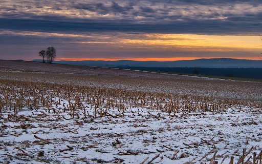 Winter corn stalks  from Chrome web store to be run with OffiDocs Chromium online