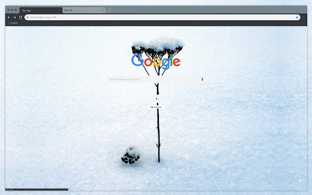 Winter flower  from Chrome web store to be run with OffiDocs Chromium online