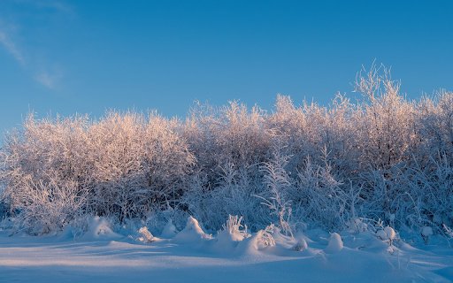 winter grass from Chrome web store to be run with OffiDocs Chromium online winter grass from Chrome web store to be run with OffiDocs Chromium online