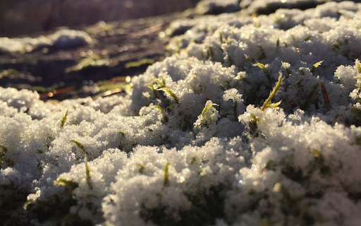 Winter Sparkle  from Chrome web store to be run with OffiDocs Chromium online